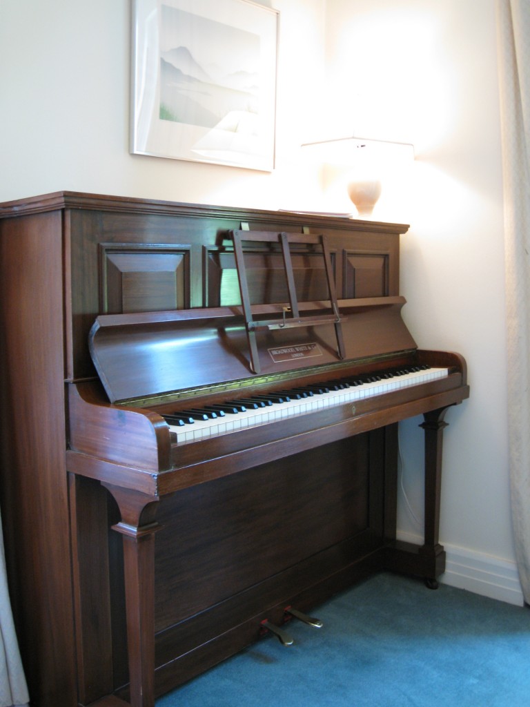 This is a common style of Broadwood White. They are not to be confused with Broadwood and are not so well constructed; most are straight strung overdampers.